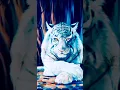 Download Lagu mentahan polosan macan putih #shorts #story #1ksubscribers