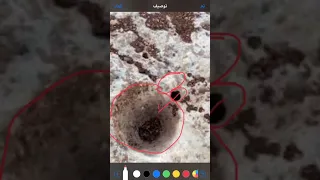 البصمة التي تأتي في حدود فم الجرن تدل على المدخل الدفائن الإشارات الكنوز الجرة الرموز تحليل  البصمة التي تأتي في حدود فم الجرن تدل على المدخل الدفائن الإشارات الكنوز الجرة الرموز تحليل