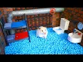 Hamster Maze - Great Escape