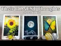 Their HONEST Thoughts about You Detailed Love Pick A Card Timeless LOVE Tarot reading