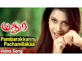 Download Lagu Pambarakkannu Pachamilakaa Video Song | Madurey Tamil Movie | Vijay | Sonia Agarwal | Vidyasagar