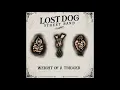 Lost Dog Street Band - Bring Back Someday