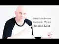 Benjamin Moore Balboa Mist Color Review