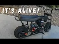 Predator 212 Motor Swapped Mini Bike