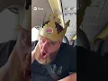 Jake Paul wears a Burger King crown on an airplane