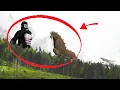 Download Lagu Kong vs Titanus Behemoth in Real Life | Real Titan Fight [S2E6] | SPORE