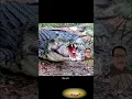 Download Lagu Lolong is still the GOAT