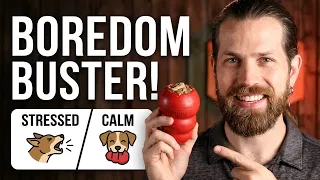 The Surprising Way Kong Toys Can CHANGE Your Dog's Life