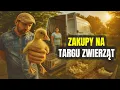 Download Lagu 🦜 MEGA FAJNY TARG ZWIERZĄT 🦜 zrobiłem zakupy ! MOJE MINI ZOO / odc. 686