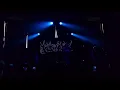 Bodybox - Skante (LIVE)