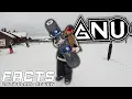 GNU Facts Snowboard Review - 2026