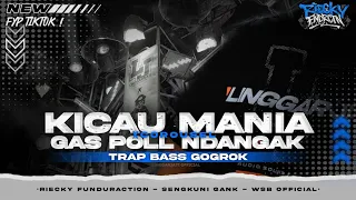 dj trap kicau mania gas poll dangak sengkuni gank riecky funduraction wsb 