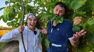 La cules de Nuci - Petre si Mărioara