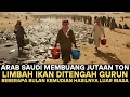 Download Lagu Arab Saudi Membuang Jutaan Ton Limbah Ikan Di Tengah Gurun, Beberapa Bulan Kemudian Hasilnya