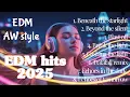 Download Lagu EDM 2025 Album kompilasi| AW style 💥