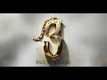 Slim - Back to Business (Official Visualiser)