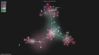 google-labs--skills - Gource visualisation