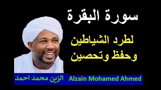 القران الكريم الزين محمد احمد Alzain Mohamed Ahmed 2025 