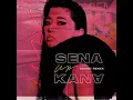 Up (Dzeko Remix) (feat. Wiz Khalifa & Sheppard) - Sena Kana & Dzeko