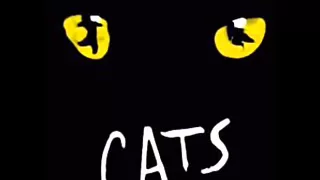 Download Cats Memory (Original Broadway cast) MP3