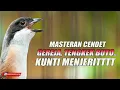 Download Lagu MASTERAN CENDET DENGAN MATERI PALING LARIS SAAT INI COCOK UNTUK BURUNG LOMBA