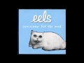 Eels - Novocaine For The Soul