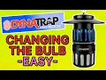 Dynatrap - How to Change the BULB in Minutes
