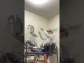 Wrong Ones By Post Malone Featuring Tim McGraw Drum Cover