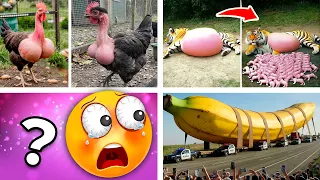 20 Cosas que NO Sabías hace 5 minutos ⏰😲 (21)