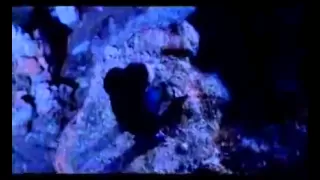 Dimitris Mpasis Spasmeno Karavi 