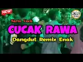 Download Lagu DANGDUT REMIX ENAK || CUCAK RAWA - Narto Uack 🌴