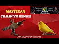 MASTERAN CILILIN VS KENARI