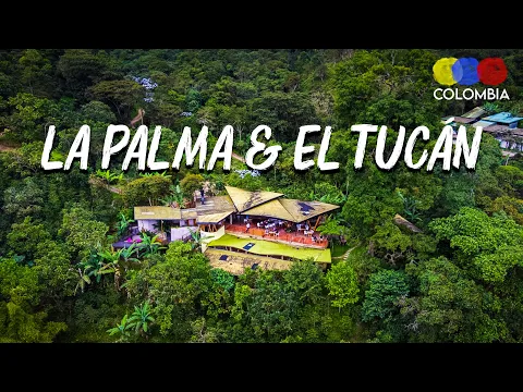 La Palma y El Tucan | Best Coffee Experience Near Bogota