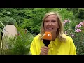 RIGHT SAID FRED - I‘m too sexy - Fernsehgarten