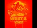 What A Night (Rowdy In Rio) - Flo Rida & GUMMiBEAR