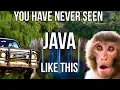 Download Lagu Wild Java Adventure: Bromo Volcano, Tumpak Sewu Waterfall \u0026 Baby Turtle Rescue (Remastered Audio)