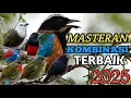 Download Lagu MASTERAN KASAR TEMBAK PANJANG PASTI JUARA || untuk murai batu kacer cucak ijo boncos