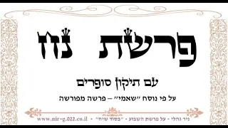 קריאת פרשת נח 