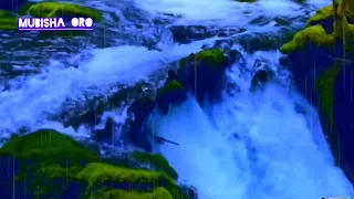 New Best Oromomusic Adam Harun Full Album 