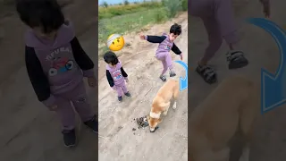 مجودي وجود يضربون الكلب مجودي جودي نت Iraq  مجودي وجود يضربون الكلب مجودي جودي نت Iraq