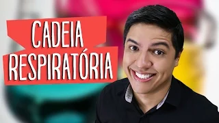 Respiração Celular - Cadeia Respiratória #03 - Prof. Kennedy Ramos