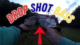 DROPSHOTTING the NetBait Blip Minnow for BASS/Late EVENING Fun CATCHING Bass