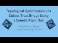 Topological Optimization of a Cuboct Truss Bridge Using a Genetic Algorithm