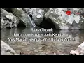 Download Lagu Terapi Semua jenis Burung Anis || Aliran Suara Air Mengalir