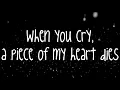 City And Colour - The Girl (w/ lyrics on screen)