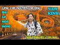 Lagu Lăng Mộ Chu Nguyên Chương - Quá Đẹp Hàng Cây Ngô Đồng Ở Cung Điện Tống Mỹ Linh Tại Nam Kinh!