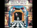 Lagu Steve Wynn - Dazzling Display (Full Album)