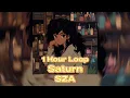 Download Lagu 𝚂𝚉𝙰 - 𝚂𝚊𝚝𝚞𝚛𝚗 *𝙷𝚘𝚞𝚛 𝙻𝚘𝚘𝚙* (𝚂𝚙𝚎𝚍 𝚄𝚙/𝚃𝚒𝚔𝚃𝚘𝚔 𝚅𝚎𝚛𝚜𝚒𝚘𝚗)