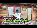 Download Lagu lagu lampung Cinta mak togok cipt.zainal arifin cover Aldi anggara