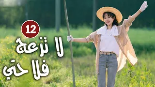 حلقة 12 دراما زواج رئيس متعجرف من فلاحة في القرية لا تزعج فلاحتي Don T Disturb Me Farming 